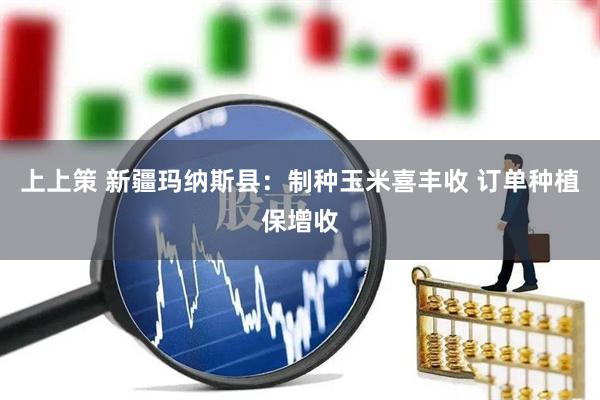 上上策 新疆玛纳斯县：制种玉米喜丰收 订单种植保增收